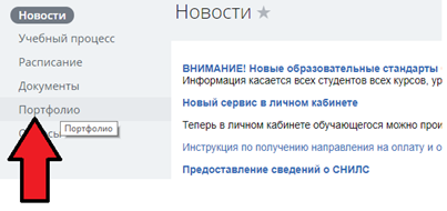 Портфолио Портфолио